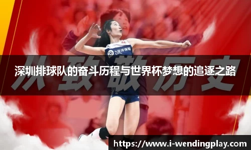 深圳排球队的奋斗历程与世界杯梦想的追逐之路
