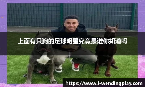 上面有只狗的足球明星究竟是谁你知道吗